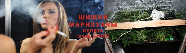 стаф Аркадак
