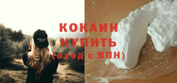 сатива Армянск