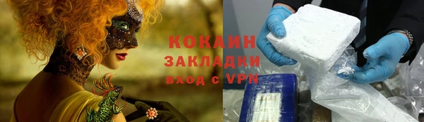 стаф Аркадак