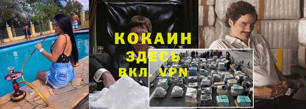 стаф Аркадак