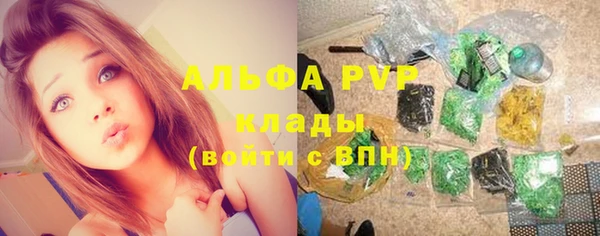 сатива Армянск
