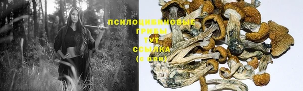 сатива Армянск
