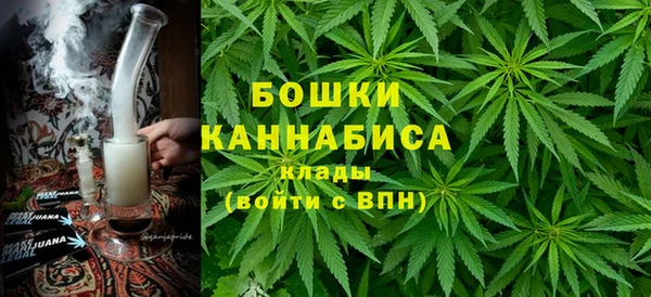 сатива Армянск
