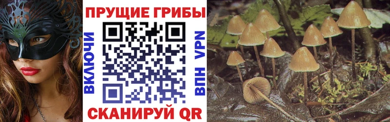 Галлюциногенные грибы прущие грибы  hydra как зайти  Урус-Мартан  купить наркоту 